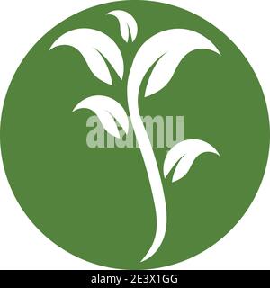 green leaf logo vector Stock Vector