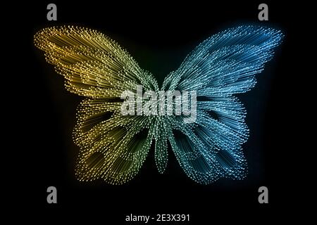 Abstract glowing fiber optic butterfly shape isolated on black background Stock Photo