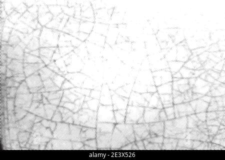 Dry Cracked Texture Stock Vector