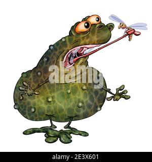 The toad caught a mosquito with his tongue for lunch. Illustration on white background.. Stock Photo