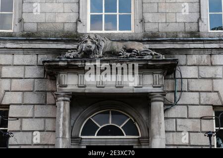 Stone lion sculpture above lintel of UCD Newman House, lion lying down, looking at viewer Stock Photo