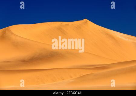 Namib Desert, sand dune mountain with beautiful blue sky, hot summer day. Landscape in Namibia, Africa. Travelling in the Namibia desert. Yellow sand