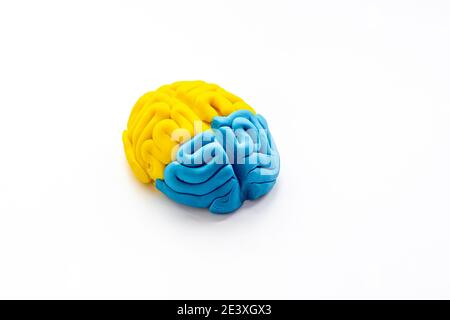 Human brain. Model of clay. Mental health background Stock Photo
