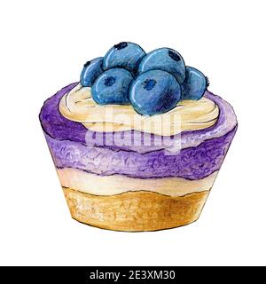 Watercolor hand drawn blueberry cupcake illustration isolated on white background. Cream and blueberries sweet  cake dessert. Best for menu, posters Stock Photo