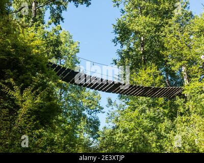 Wooden suspension bridge walkway in Huilo Huilo Biological Reserve, Los Ríos Region, southern Chile. Stock Photo