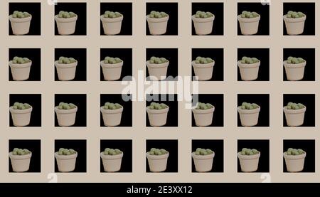 Seamless 3D succulent plant pot pattern at beige pastel background. Vector, illustration pattern. Stock Vector