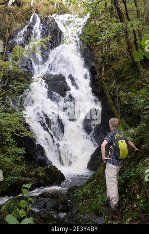 Walker beside the Pulhowan Waterfall in the, RSPB Scotland, Wood of Cree nature reserve near Newton Stewart, Galloway, Scotland. Stock Photo