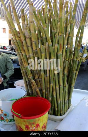 Sugar Canes ready to make Juice in Agadir,Morocco Stock Photo