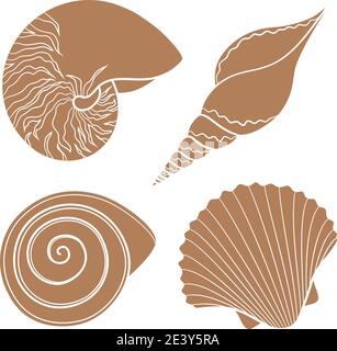 Set of black and white graphic sea shells. Isolated objects on a white. Vector illustration. Stock Vector