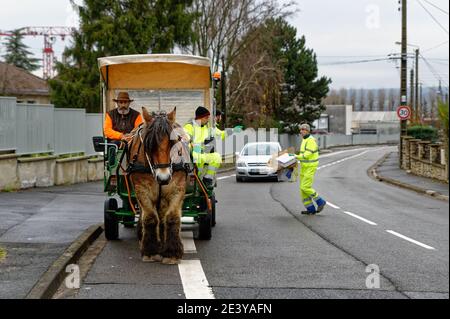 Charleville-Mezieres (north-eastern France): horse-drawn kerbside waste collection. Stock Photo