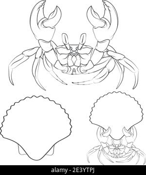 Set of black and white vector illustrations with crab and shell. Isolated vector objects on a white background. Stock Vector