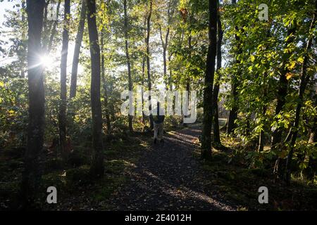 Heading down the side of the Water of Minnock On the Southern Upland Way, long distance path,. in the Galloway Forest Park near Newton Stewart, Scotla Stock Photo