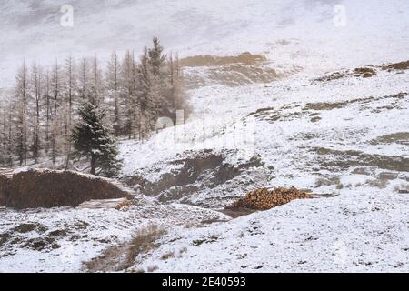 Piles of wooden logs covered in snow in a Winter wonderland landscape. Stock Photo