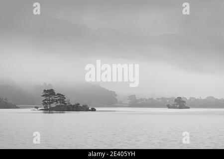 Small island with trees on Ullswater in the Lake District. Taken on a dull misty morning. Black and white landscape photography. Stock Photo