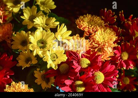 Chrysanthemums on display at home in a pottery vase placed in a fireplace