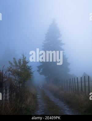 Dark Foggy Country Road Stock Photo - Alamy
