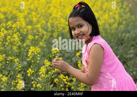 a pretty indian girl child in pink dress standing with a mustard flower in hand near yellow mustard flower field Stock Photo