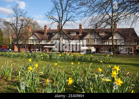 UK, England, West Midlands, Birmingham, Bournville, Daffodils on Bournville Village Green, wtih parade of shops in background Stock Photo