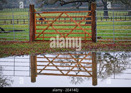 Reflections: 8 Bar Wood Paddock Gate, with cross spars, reflected in foreground pool of rain water, with grass and trees in background Stock Photo