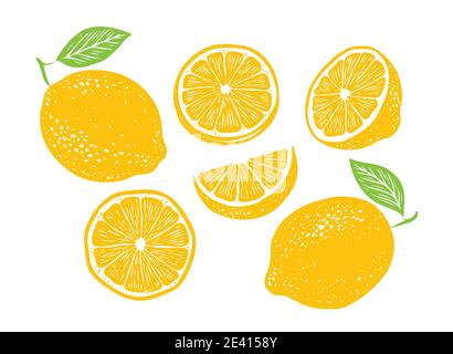 Fresh lemon fruits, collection of vector illustration Stock Vector