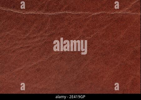 Wrinkled brown leather surface macro close up view Stock Photo