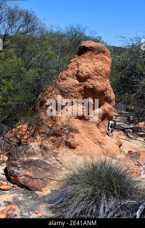 Australia, termite mound in Kalbarri National Park Stock Photo