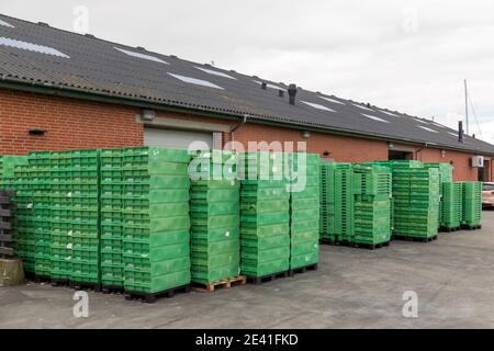 Bonnerup, Denmark - 15 Juli 2020: Many green fish boxes are stacked outside the fishing auction at the harbor Stock Photo