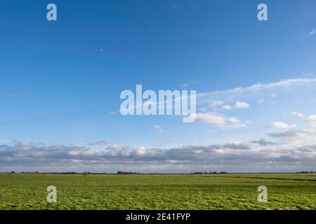 Typical plain Dutch landscape with fresh green meadows, farms and a beautiful blue sky with clouds and a low sun. The moon can be seen in the blue sky Stock Photo