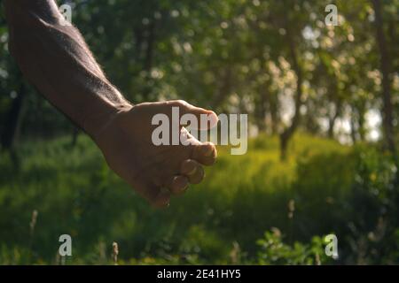 young man gives a hand for help Stock Photo