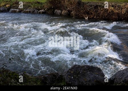 River Ogmore at Brynmenyn, Bridgend after Storm Christoph on the 21st January 2021. Credit: Lewis Mitchell Stock Photo