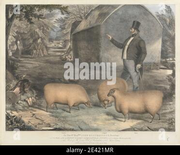 Print made by John West Giles, active 1827â€“1865, Mr. Jonas Webb, of Babraham, and his Three Rams, 1842. Lithograph with hand coloring on thick, moderately textured, cream wove paper.   agronomy , animal art , chickens , ewe (animal) , farming , husbandry , obesity , rooster , science Stock Photo
