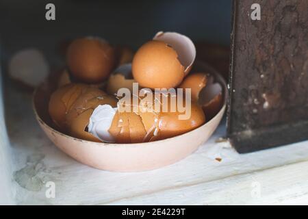 Close-up eggshells on a plate in a wood oven. Farm life. Stock Photo