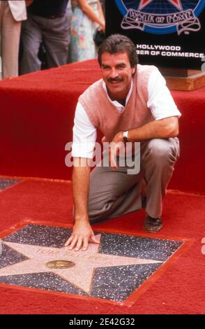 Tom Selleck at the annual LA Dodgers Celebrity Baseball game August 1981.  Credit: Ralph Dominguez/MediaPunch Stock Photo - Alamy