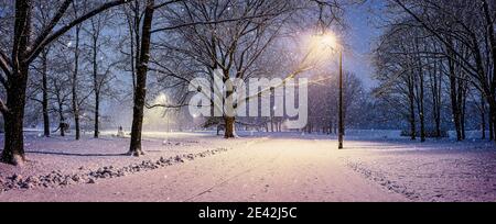 Panoramic view of winter landscape in park with snowy trees and shining lights during snowstorm Stock Photo