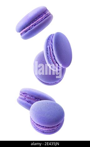 Isolated blue macaroons. Five blueberry or blackberry macaroons falling down over white background Stock Photo
