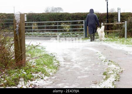 man in rain coat and his white dog walked out toward the gate in the snow and sleet morning, Kent, England Stock Photo