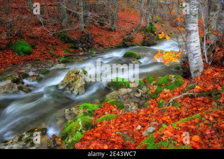 Long Exposure Photography of a River in Autumn Stock Photo