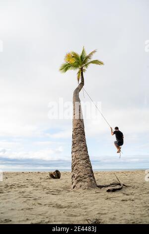 Back view of unrecognizable male swinging on rope hanging from palm tree on beach in Australia Stock Photo