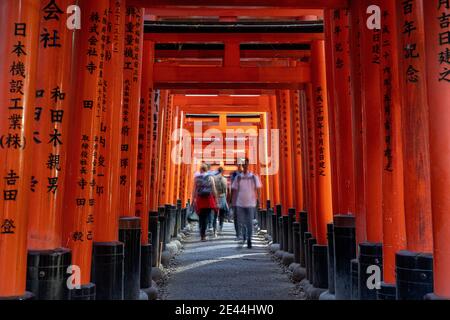 Tourists on the move walking through the wooden arches of Torii in Japan Stock Photo