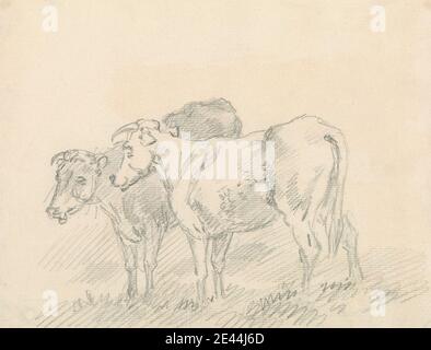 Sawrey Gilpin, 1733â€“1807, British, Two Cows, undated. Graphite on medium, moderately textured, cream, laid paper, mounted on, moderately thick, smooth, cream, wove paper.   animal art Stock Photo
