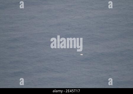 In this photo released by Brazil's Air Force, a Brazilian Navy ship, bottom center, approaches debris, right, that Brazilian authorities believe are from Air France Flight 447 in the Atlantic Ocean, on June 6, 2008. Three more bodies were found Sunday in the ocean near the spot where an Air France jet is believed to have crashed a week ago, bringing the total number of bodies plucked from the water to five, Brazil's military said. At left, a colored smoke signal used by searchers to mark the spot where debris was found. Photo by Brazilian Air Force/ABACAPRESS.COM Stock Photo