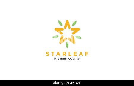 colorful star with leaf modern logo symbol icon vector graphic design Stock Vector