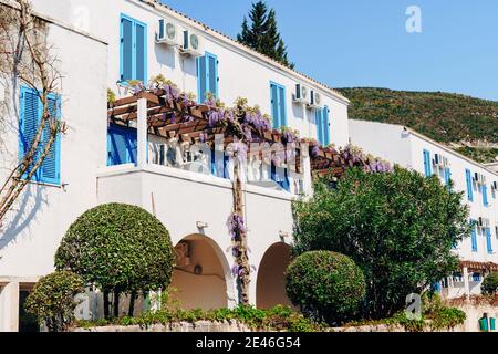 The building is white with trees and curly wisteria on a wooden beam by windows with blue shutters. Stock Photo