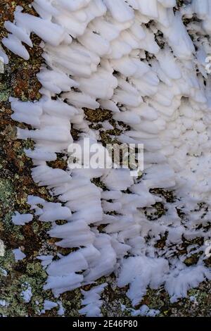 Hard rime ice formed during a freezing fog and wind atop Steens Mountain, Oregon, USA Stock Photo