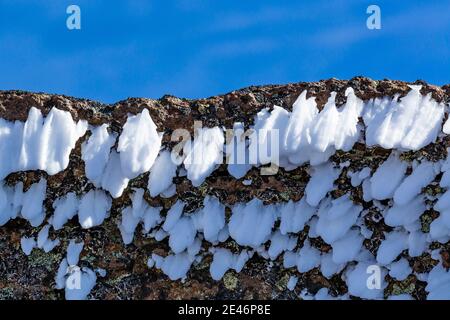 Hard rime ice formed during a freezing fog and wind atop Steens Mountain, Oregon, USA Stock Photo