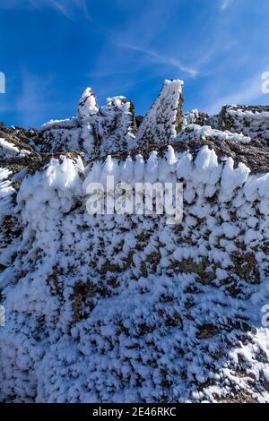 Hard rime ice formed during a freezing fog and wind atop Steens Mountain, Oregon, USA Stock Photo