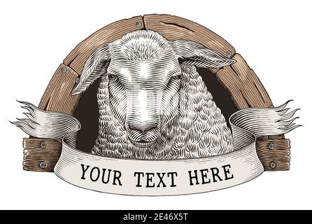 Sheep farm logo hand draw vintage engraving style clip art isolated on white background Stock Vector