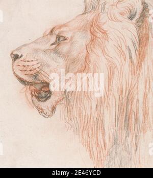Unknown artist, 18th century-19th century, Head of a Male Lion, undated. Black chalk, red chalk, and graphite on medium, slightly textured, cream laid paper.   animal art , cat (domestic cat) , figure study , hair , head , head , lion Stock Photo