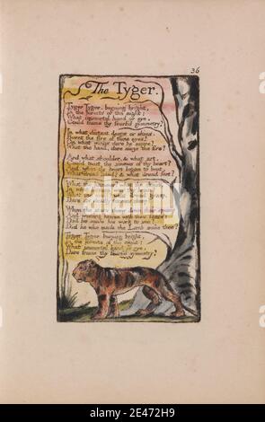 the tyger songs of experience the tyger songs of experience
