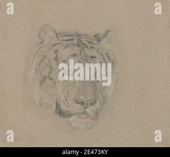 James Ward, 1769–1859, British, Head of a Tiger, undated. Black chalk, white chalk, and red chalk on medium, smooth, brown laid paper.   animal art , sporting art , tiger Stock Photo